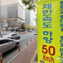 12월에 핀 가을/소비자원 "시중 절임배추서 대장균 기준 초과"/서울 사대문안 안전속도 5030 전면시행…대도시 도심 첫 사례 / 이미지