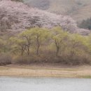 운산목장 이미지