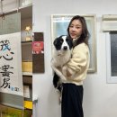 도그어스 플래닛 이미지