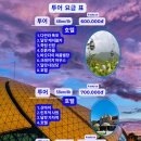 하늘빛꿈 | 달랏] 라도택시 산마이 구름사냥 투어 대성공 꿀팁 후기｜라도택시(Lado Taxi) 투어 비교, 예약방법...
