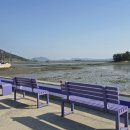 반월도퍼플펜션 이미지