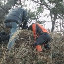 코리아헌터 이미지