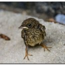 연하휴게소 이미지