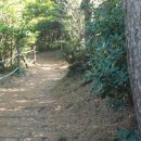 새천년공원길 이미지