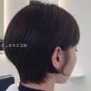 헤어 온 이미지