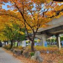 연가교옆 이미지