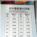 마라도복어 이미지