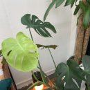 구로-구로-구로-168 | 구로아이폰수리 직접 경험한 솔직 후기