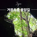 용암길 | 거문오름 용암길 비공개 코스 세계자연유산 특별 개방 후기