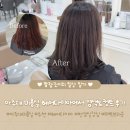 한샘프라자 | 다이아 아주대점 :: 봄맞이 레이어드컷 + 염색 모카브라운 with. 한샘 수석실장 / 기분 좋은 스타일링 성공