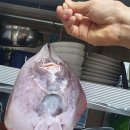 공세리농장 이미지