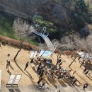 인제군자연산버섯 협동조합 이미지