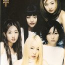 티티마 이미지