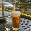 타코카페빅토리아 | 밴쿠버 워홀러의 빅토리아 1박 2일 후기🇨🇦⛴️ II Terrazzo, Whistle Buoy Brewing, Blue Fox Cafe, Best...