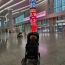 펫(PET)과 함께 | 수원 PET&amp;MORE 반려동물 박람회 후기 몽이와 함께한 쇼핑·무료미용·펫파크까지