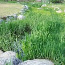 한밭수목원1 이미지