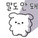 그로체 이미지