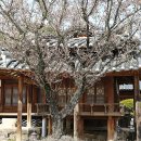 동계 종택 이미지