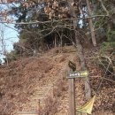 진원면사무소 이미지