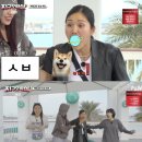 미미 (美美) 이미지