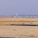 간세다리 이미지