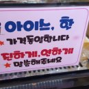 커피마마 일죽점 네이버블로그