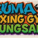 쿠마복싱짐 이미지