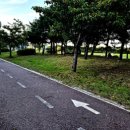 이마트24공항업무단지점 이미지