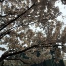 팔공산로 이미지