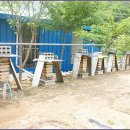 채식향기 이미지