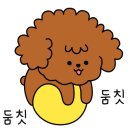 빠마데이