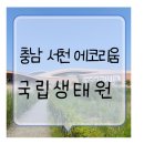 충남 서천 아이들과 여행 국립생태원에코리움 동선 주차 소개