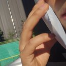 희플라워케이크 네이버블로그