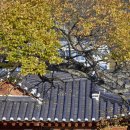 스테이울진 이미지