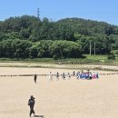 영주 무섬마을 전통혼례 구경 이미지