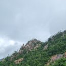 밀알천사 이미지