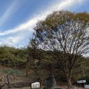 [충북 제천] 가족여행 숙소 &lt;클럽 이에스 제천 리조트&gt; 추천 객실 내부사진 내돈내산
