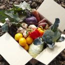 무릉외갓집 이미지