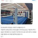 모던복싱클럽 향동 이미지