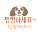 멍's 이미지