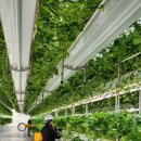 흰돌농장 이미지