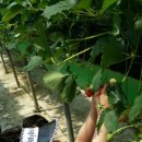 성빈농장 이미지