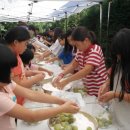 목면초등학교 이미지