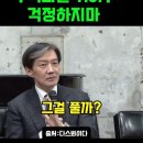 조국도 개그를하네요ㅋ 이미지