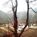 (주)그린시티 네이버블로그
