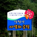 일월산자생화공원 Daum카페