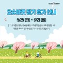 오슈마켓 이미지