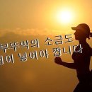 월도1 이미지