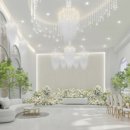 벨라마레 이미지