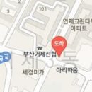 푸른사과치과의원 티스토리